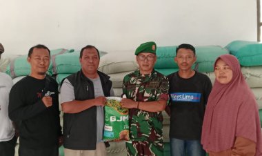 Pendampingan Pendistribusian Benih Padi oleh Babinsa Koramil 2204/Cikidang