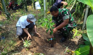 Babinsa Koramil 2204/Cikidang Dukung Ketahanan Pangan Melalui Penanaman Durian Bersama Poktan Desa Sampora