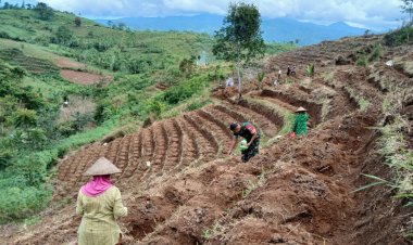 Babinsa Koramil 2205/Kalapanunggal Dampingi Kegiatan Ketahanan Pangan di Desa Pulosari