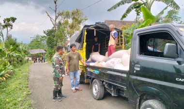 Kegiatan Serap Gabah oleh Tim Bulog di Wilayah Koramil 2206/Parakansalak