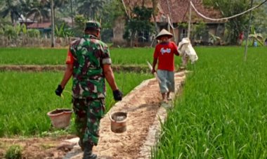 Babinsa Koramil 2202/Palabuhanratu Laksanakan Bakti Pembuatan Irigasi di Desa Cidadap ﻿