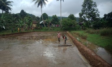 Babinsa Koramil 2204/Cikidang Dampingi Kegiatan LTT Poktan Parakan Telu