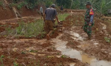 Babinsa Koramil 2201/Cisolok Dampingi Kegiatan Pertanian di Desa Gunung Keramat