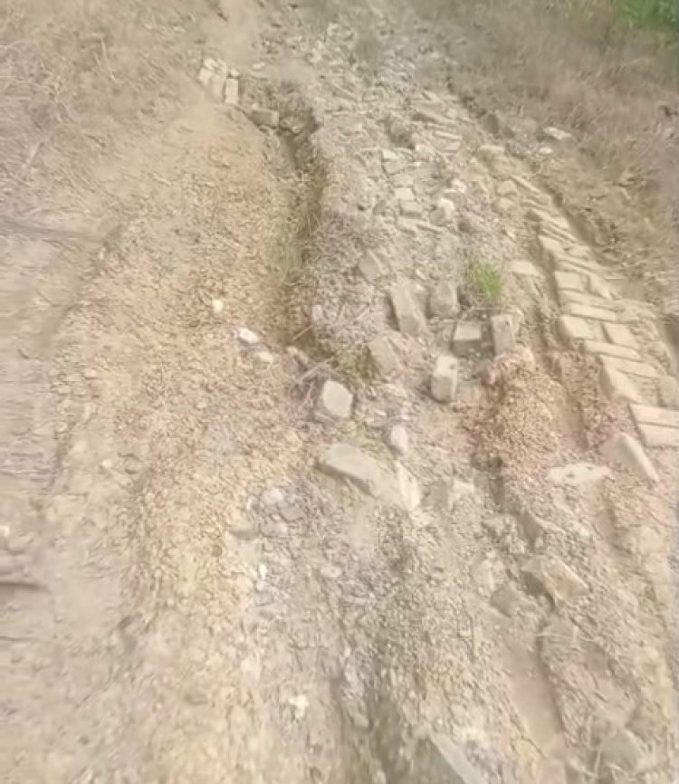 Warga Tanjungan Harapkan Perhatian Pemerintah untuk Pembangunan Jalan