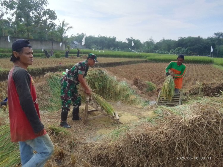 Babinsa Koramil 2208/Nyalindung Dukung Ketahanan Pangan Lewat Pendampingan Kelompok Tani