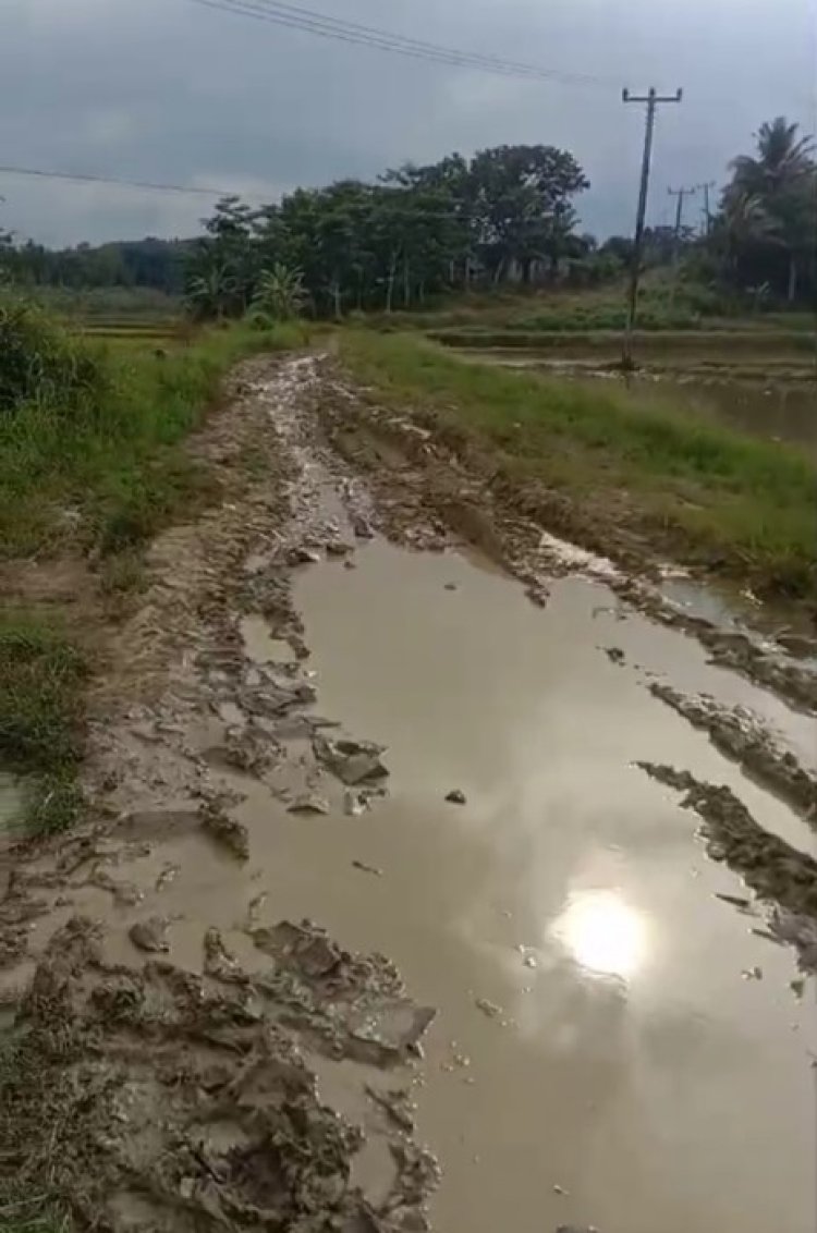 Warga Kampung Cidaimah Serukan Pembangunan Jalan yang Sudah Lama Terabaikan