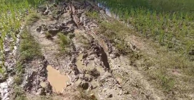 Warga Kampung Cinibung Keluhkan Jalan Rusak, Harapkan Perhatian Pemerintah
