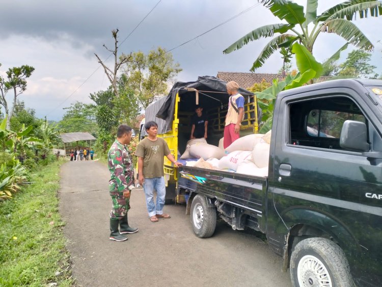 Kegiatan Serap Gabah oleh Tim Bulog di Wilayah Koramil 2206/Parakansalak