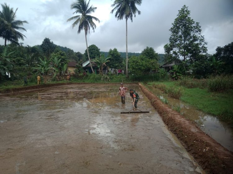 Babinsa Koramil 2204/Cikidang Dampingi Kegiatan LTT Poktan Parakan Telu