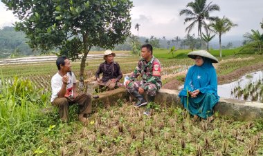 Babinsa Koramil 2206/Parakansalak Dukung Ketahanan Pangan di Desa Lebaksari
