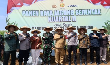 PANEN RAYA JAGUNG SERENTAK KUARTAL II, DANDIM 0622/KAB. SUKABUMI BERSAMA FORKOPIMDA DUKUNG SWASEMBADA PANGAN NASIONAL 2025