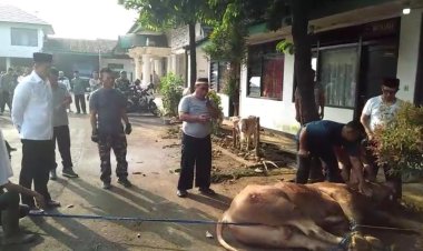 Makorem 061/Suryakancana Laksanakan Penyembelihan Hewan Qurban Idul Adha 1446 H