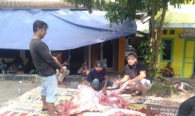 Pelaksanaan Kurban Masjid Al-Hidayah Tahun 2025