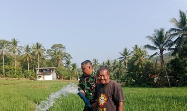 Babinsa Koramil 2202/Palabuhanratu Dampingi Kegiatan Hanpangan Bersama Kelompok Tani