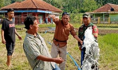 Babinsa Koramil 2202/Palabuhanratu Laksanakan Pendampingan Ketahanan Pangan