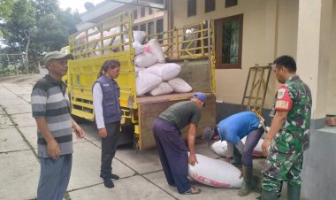 Babinsa Koramil 2206/Parakansalak Dampingi Kegiatan Serap Gabah di Desa Bojongasih