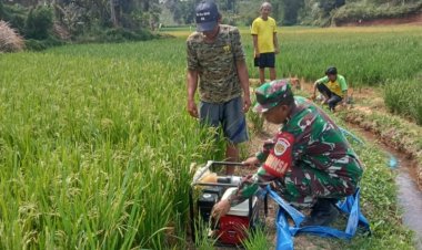 BABINSA KORAMIL 2209/LENGKONG LAKSANAKAN PENDAMPINGAN HANPANGAN DI DESA LENGKONG