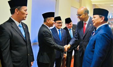 RI-Singapura Sepakat Bangun Kawasan Industri Hijau, Panel Surya & Kabel Diproduksi di Kepri