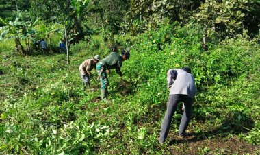 Pembersihan TPU oleh Babinsa Desa Pangkalan Bersama Warga