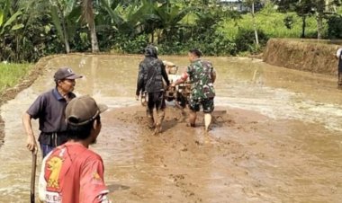 Babinsa Koramil 2206/Parakansalak Dampingi Poktani dalam Upaya Ketahanan Pangan