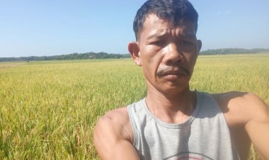 Kisah Sukses Bapak Ahim, Geluti Dunia Pertanian