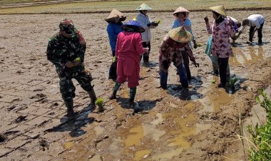 BABINSA KORAMIL 2205/KALAPANUNGGAL LAKSANAKAN PENDAMPINGAN KETAHANAN PANGAN BERSAMA KELOMPOK TANI