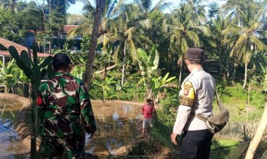Babinsa Koramil 2201/Cisolok Dampingi Kegiatan Pertanian di Desa Pasir Baru