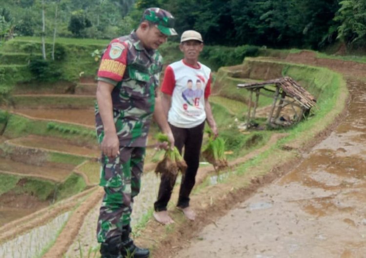 Babinsa Koramil 2205/Kalapanunggal Dampingi Kegiatan Ketahanan Pangan di Desa Tugubandung