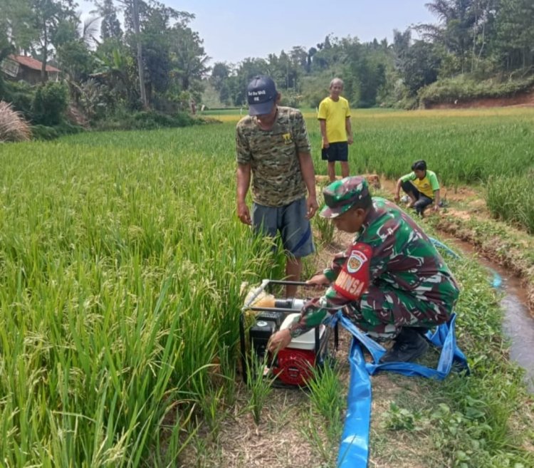 BABINSA KORAMIL 2209/LENGKONG LAKSANAKAN PENDAMPINGAN HANPANGAN DI DESA LENGKONG