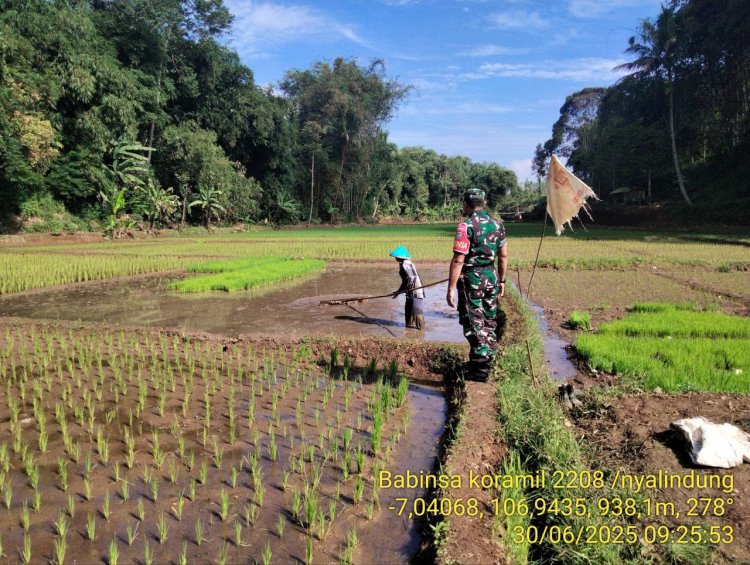 Babinsa Koramil 2208/Nyalindung Dampingi Kegiatan Ketahanan Pangan di Desa Cisitu