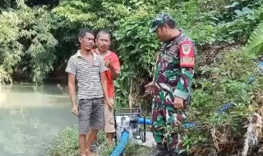 Babinsa Koramil 2212/Tegalbuleud Laksanakan Pendampingan Hanpangan kepada Poktan di Desa Calingcing