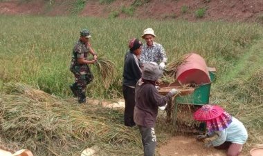 BABINSA KORAMIL 2207/JAMPANGTENGAH LAKSANAKAN PENDAMPINGAN HANPANGAN DI DESA BANTARPANJANG
