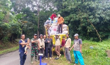 BABINSA KORAMIL 2211/SAGARANTEN LAKSANAKAN PENDAMPINGAN SERAP GABAH BULOG DI KECAMATAN CIDOLOG