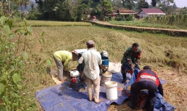BABINSA KORAMIL 2209/LENGKONG LAKSANAKAN PENDAMPINGAN HANPANGAN DI DESA LENGKONG