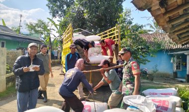 Babinsa Koramil 2206/Parakansalak Dampingi Kegiatan Serap Gabah oleh Bulog