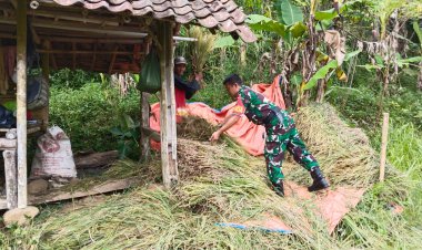 Babinsa Koramil 2208/Nyalindung Dampingi Kelompok Tani Baros 1 dalam Kegiatan Ketahanan Pangan