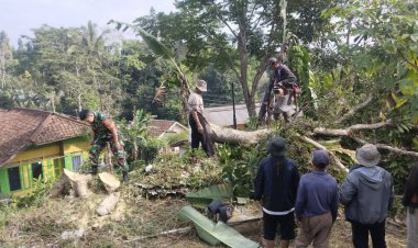 BABINSA KORAMIL 2208/NYALINDUNG GELAR KARYA BAKTI PENEBANGAN POHON DI KEBON KAI