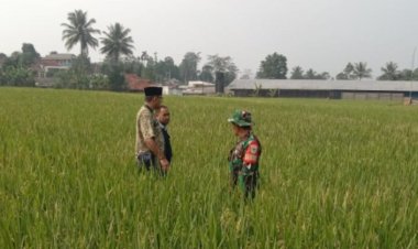 Babinsa Koramil 2206/Parakansalak Hadiri Kegiatan Pendampingan Ketahanan Pangan di Desa Parakansalak