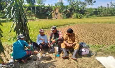 Babinsa Koramil 2206/Parakansalak Dampingi Kegiatan Ketahanan Pangan di Desa Lebaksari