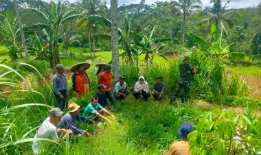 Babinsa Koramil 2209/Lengkong Dampingi Kegiatan Hanpangan di Desa Tegallega
