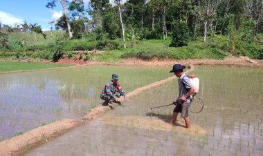 Babinsa Koramil 2209/Lengkong Dampingi Warga dalam Kegiatan Ketahanan Pangan