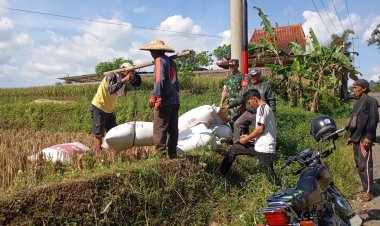 Babinsa Koramil 2208/Nyalindung Dampingi Kelompok Tani Wujudkan Ketahanan Pangan