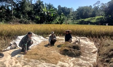 Babinsa Koramil 2210/Pabuaran Dampingi Pelatihan Ketahanan Pangan Poktan di Desa Bantarsari