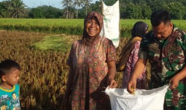 Babinsa Koramil 2212/Tegalbuleud Dampingi Kelompok Tani dalam Upaya Ketahanan Pangan