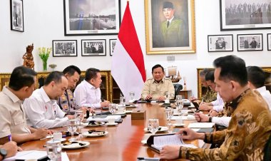 Presiden Prabowo Perintahkan Tindak Tegas Pelanggaran Standar Beras Premium dan Medium