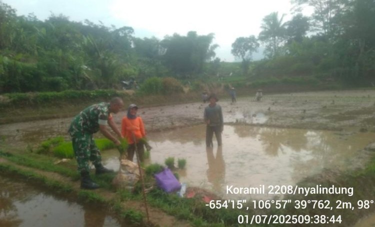 Babinsa Koramil 2208/Nyalindung Dampingi Kelompok Tani Ciengang Wujudkan Ketahanan Pangan