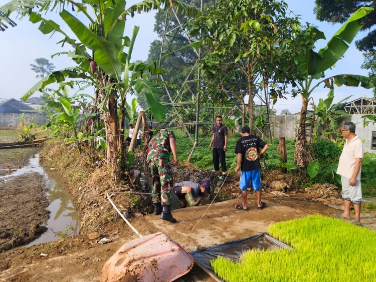 Babinsa Koramil 2206/Parakansalak Dampingi Kegiatan Ketahanan Pangan di Desa Lebaksari