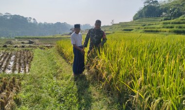 Babinsa Parakansalak Dampingi Kegiatan Ketahanan Pangan Bersama Kelompok Tani