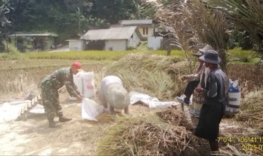 Babinsa Koramil 2203/Warungkiara Dampingi Kegiatan Hanpangan di Desa Limusnunggal