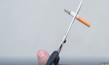 Bea Cukai Kendari Gagalkan Pengiriman 34 Ribu Batang Rokok Ilegal di Dua Jasa Ekspedisi